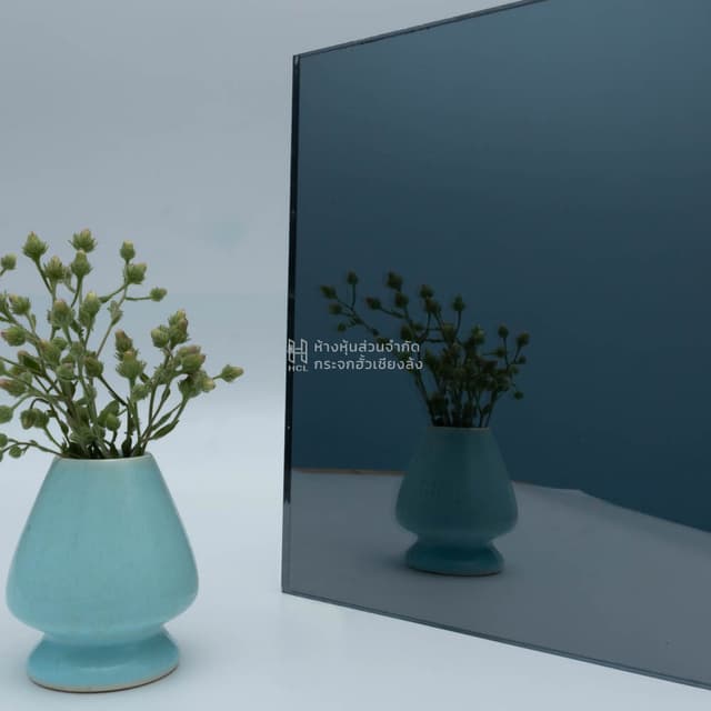 a eurogrey mirror with reflection of flower jar